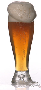 /i//pilsner.jpg